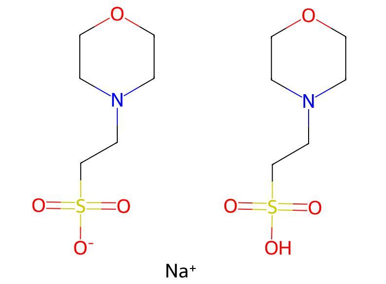 Cheap Price High Purity MES hemisodium salt CAS 117961-21-4