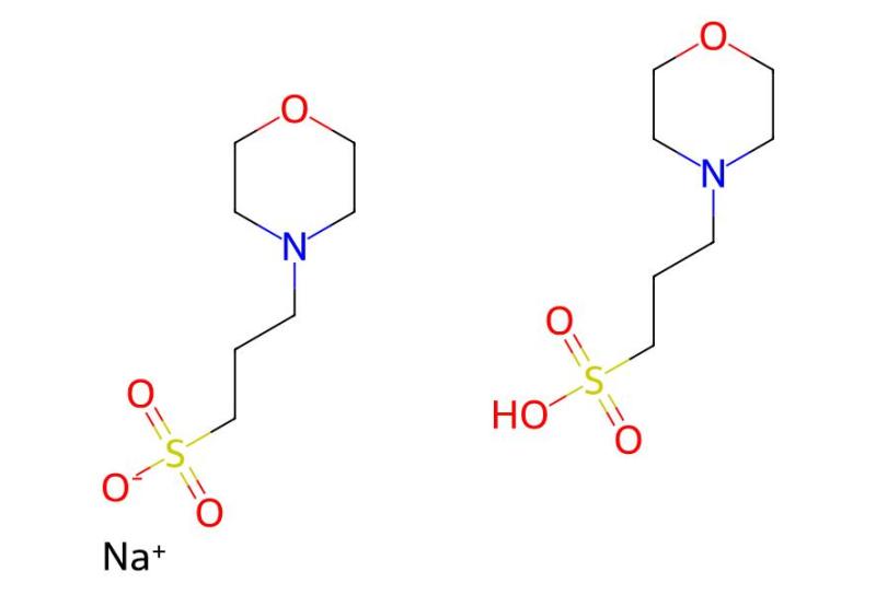 Factory Hot Sale MOPS hemisodium salt CAS 117961-20-3