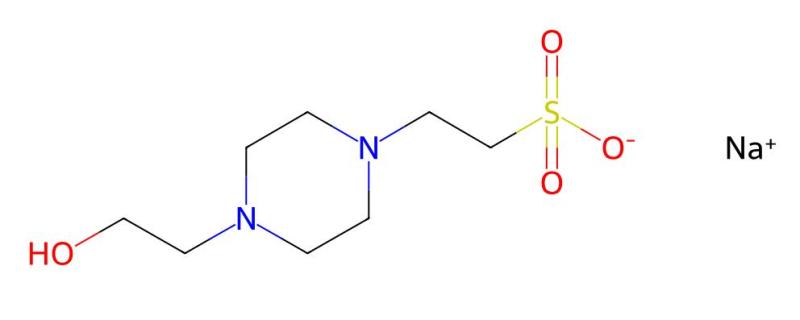 Wholesale High Purity Price HEPES hemisodium salt CAS 103404-87-1