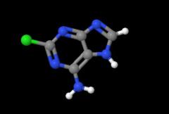 Good Product 2-Chloroadenine cas 1839-18-5