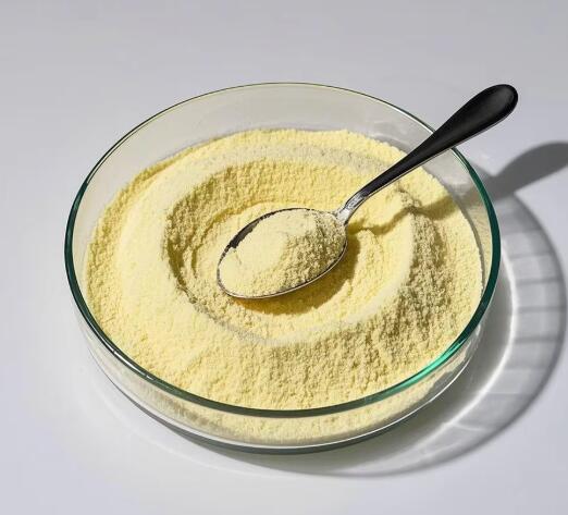 Good Product 2-Chloroadenine cas 1839-18-5
