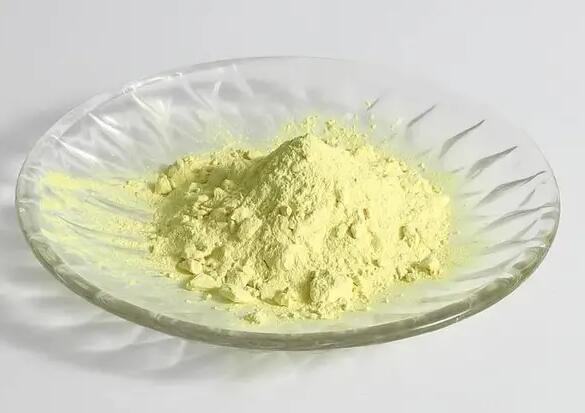 Factory Supply 4-Amino-7-iodopyrrolo[2,1-f][1,2,4]triazine cas 1770840-43-1