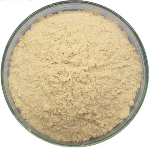 Manufacturer high Quality Ginsenoside CK CAS 39262-14-1