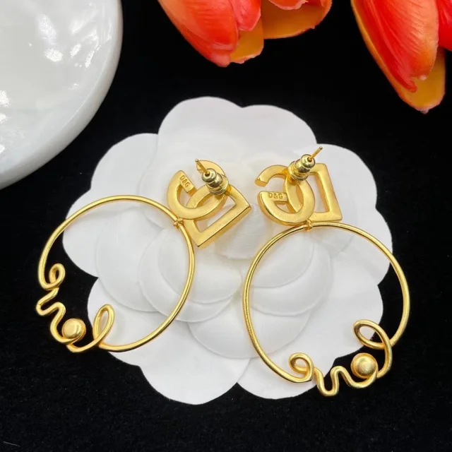 High   Quality  Fashion    Earring  07120549