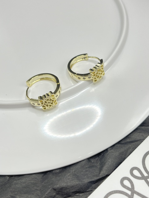 High   Quality   Fashion    Earring    011000
