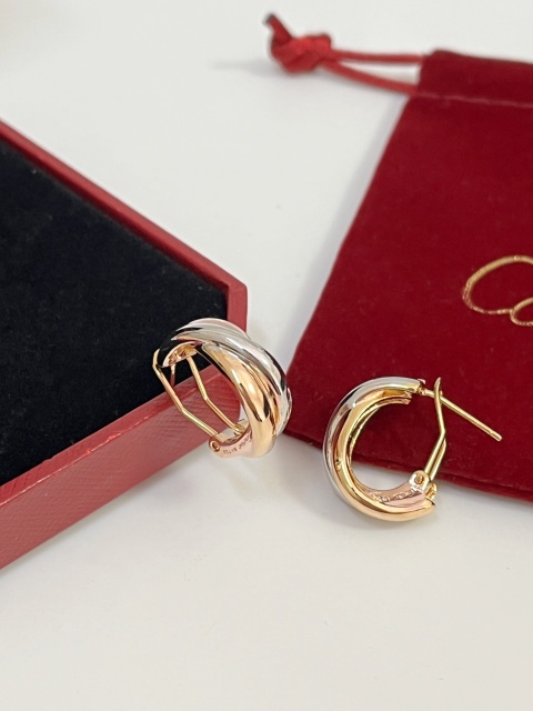 High   Quality   Fashion     Earring    011047
