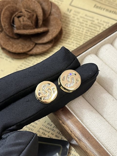High   Quality   Fashion     Earring    011059