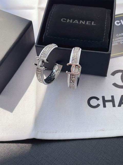 High   Quality   Fashion     Earring    011109