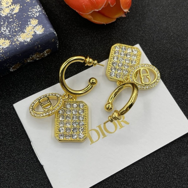 High Quality Fashion Jewelry  Earrings 1013053
