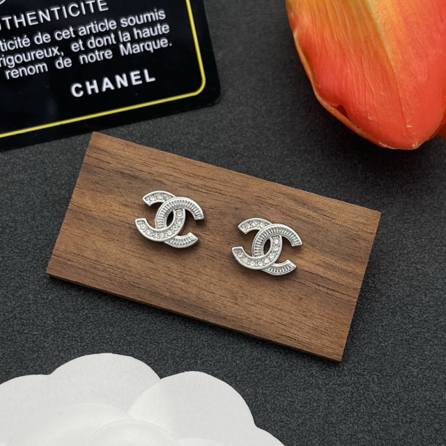 High Quality Fashion Jewelry  Earrings  091122010