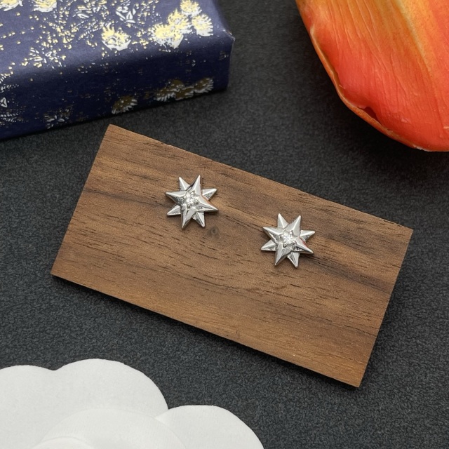 High Quality Fashion Jewelry  Earrings 091122001