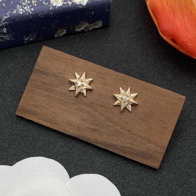 High Quality Fashion Jewelry  Earrings 091122001
