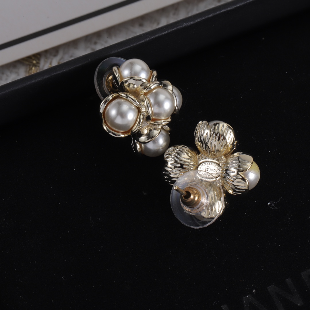 High Quality Fashion Jewelry  Earrings 091122002