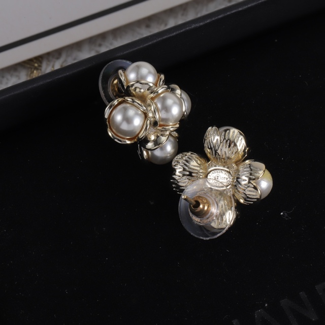 High Quality Fashion Jewelry  Earrings 091122002