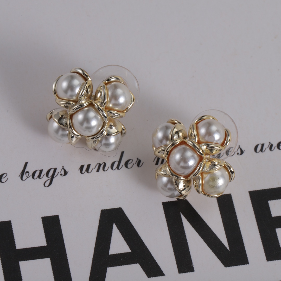 High Quality Fashion Jewelry  Earrings 091122002