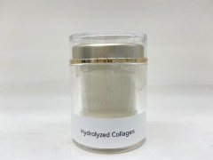 Hydrolyzed Collagen ၊