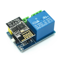 With ESP-01