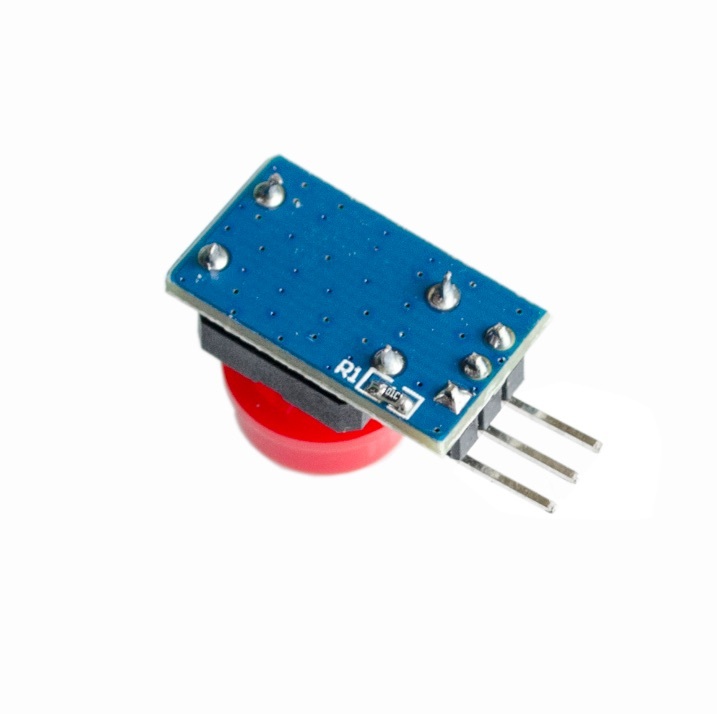 Big Button Light Touch Switch Module With Hat
