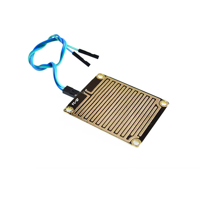 Raindrop Controller Module With Relay