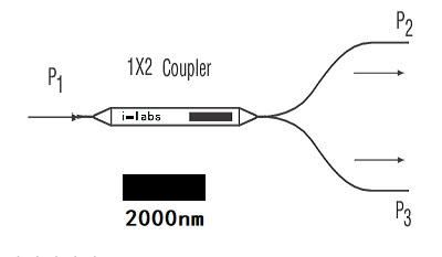 1x2单模光纤耦合器/分路器 2000nm