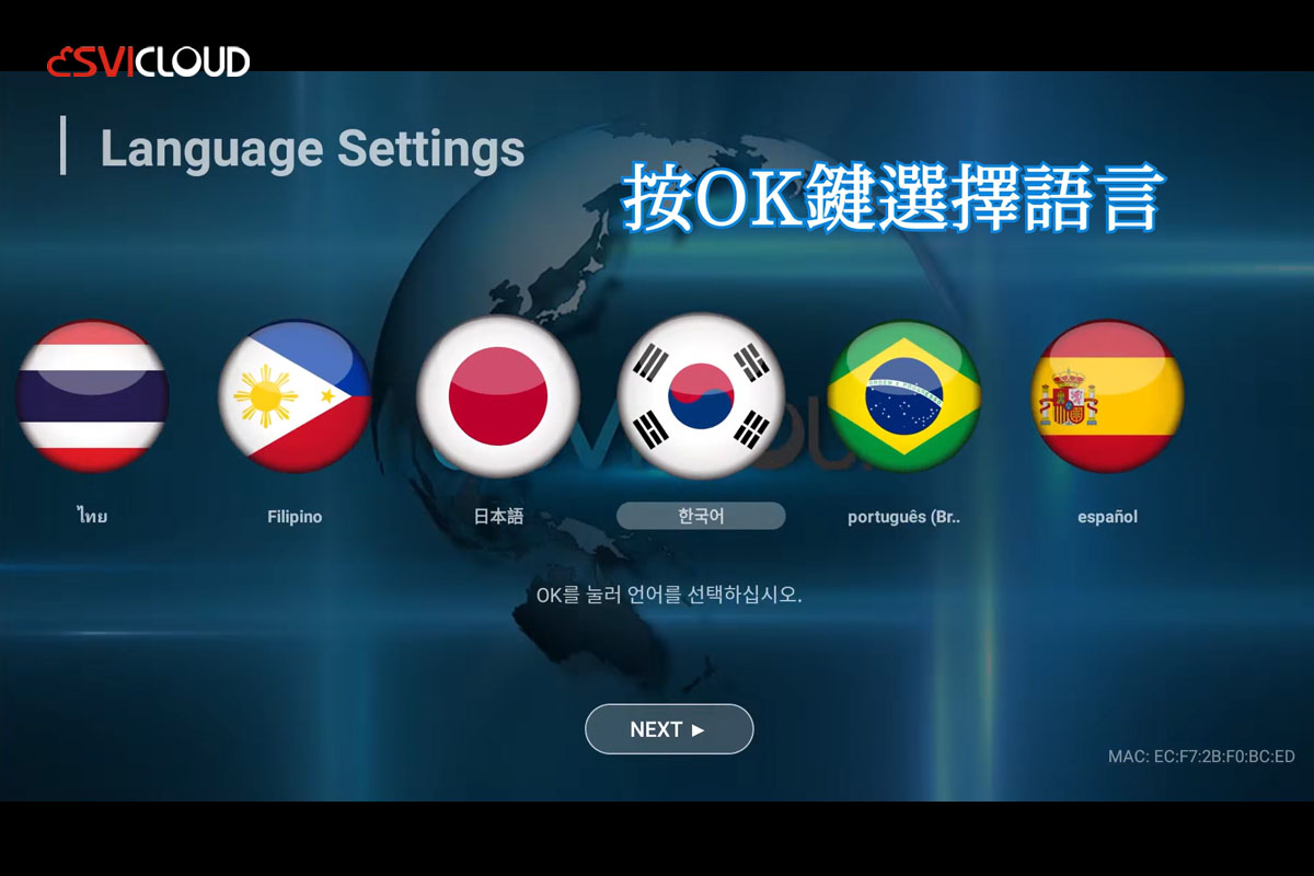 How to set the startup language for the SviCloud TV box?  