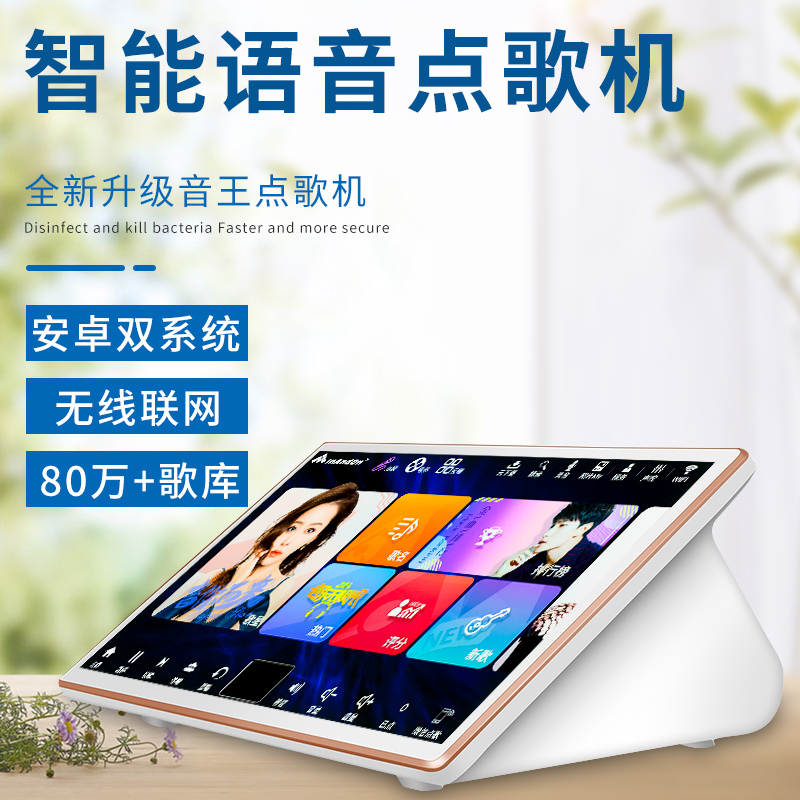 音王18.5 Inch KV-V5 Max  All in One Karaoke Player