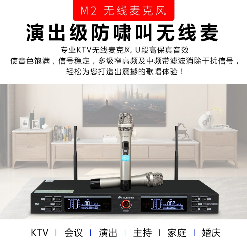 音王 M2无线话筒一拖二ktv专用卡拉Ok家用会议麦克风婚庆演出