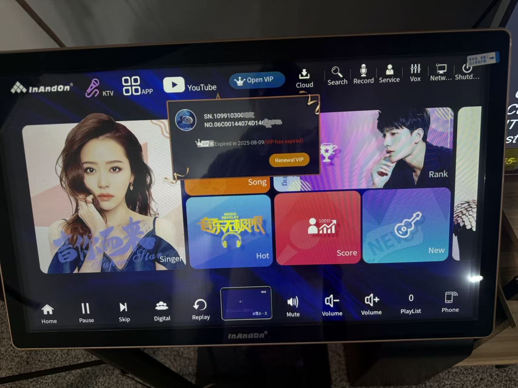 InAndOn Karaoke Player lifetime VIP