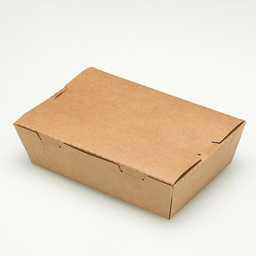 Disposable Rectangular Food Containers