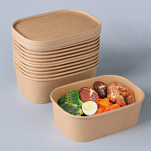 Take Out Paper Lunch Container