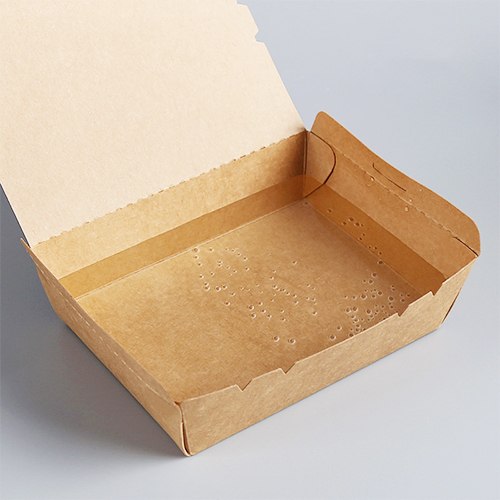 Disposable Rectangular Food Containers