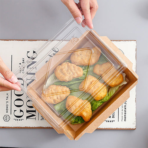 Disposable Clear Lid Food Paper Container