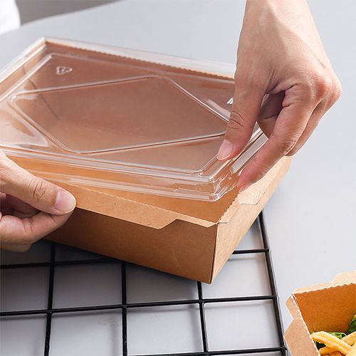 Disposable Clear Lid Food Paper Container