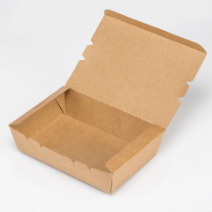 Disposable Rectangular Food Containers