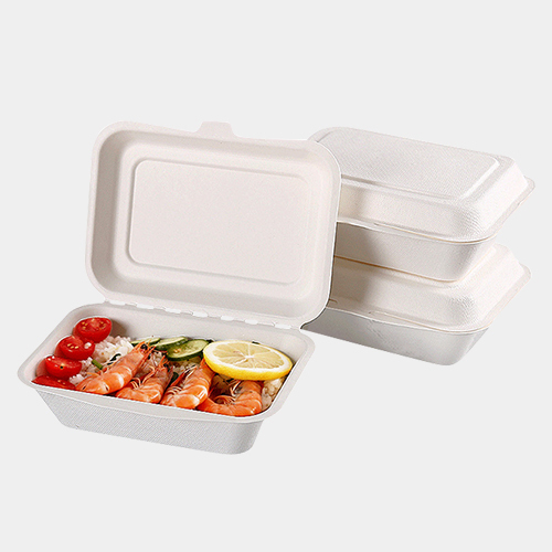 Sugarcane Clamshell Food Box