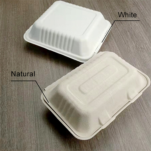 Sugarcane Clamshell Food Box