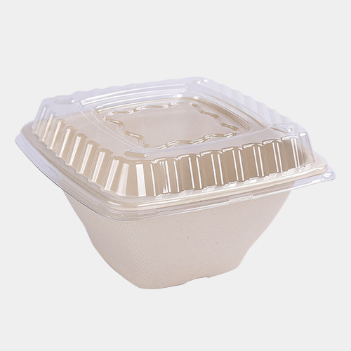 Sugarcane Pulp Square Food Box