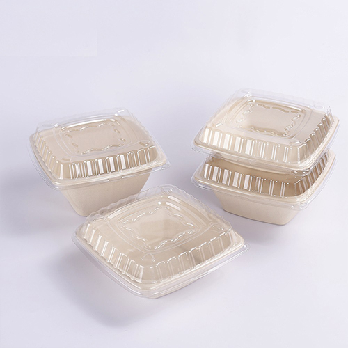 Sugarcane Pulp Square Food Box