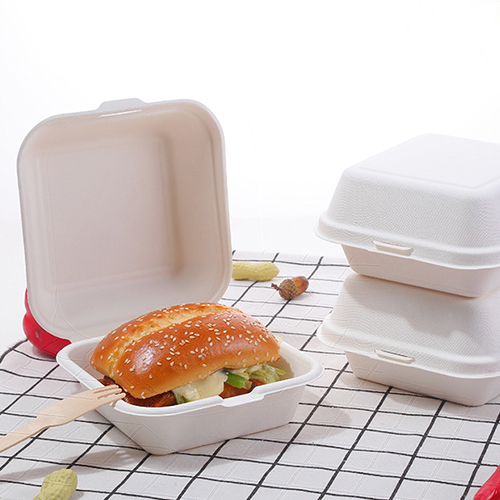 Sugarcane Pulp Burger Box