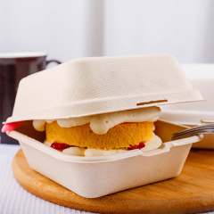 Sugarcane Pulp Burger Box