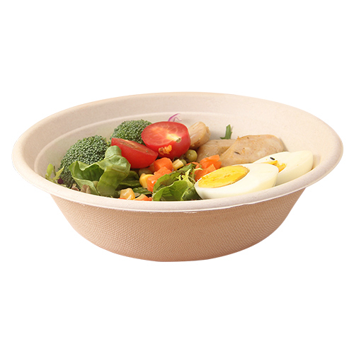 Sugarcane Pulp Shallow Bowl