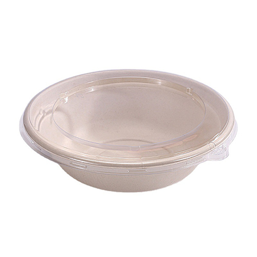 Sugarcane Pulp Shallow Bowl