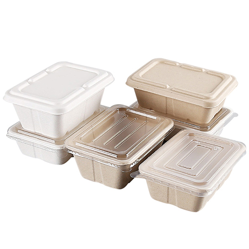 Sugarcane Pulp Lunch Container