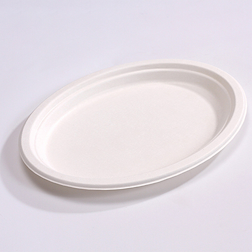 Sugarcane Pulp Oval Plate