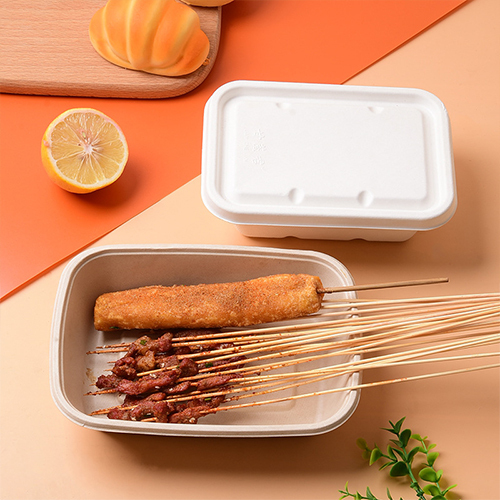 Sugarcane Pulp Lunch Container