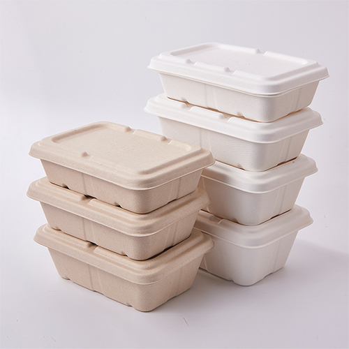 Sugarcane Pulp Lunch Container