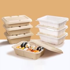 Sugarcane Pulp Lunch Container