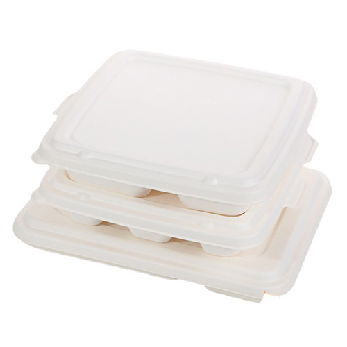 Sugarcane Pulp Multiple Compartments Lunch Box