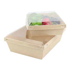 Bamboo Pulp Paper Buckle Lunch Box