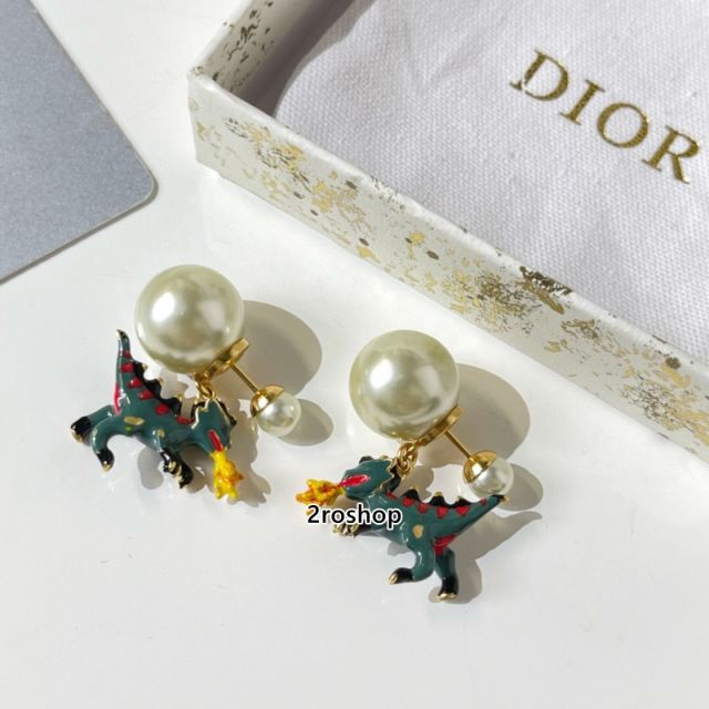 DIOR 피어싱